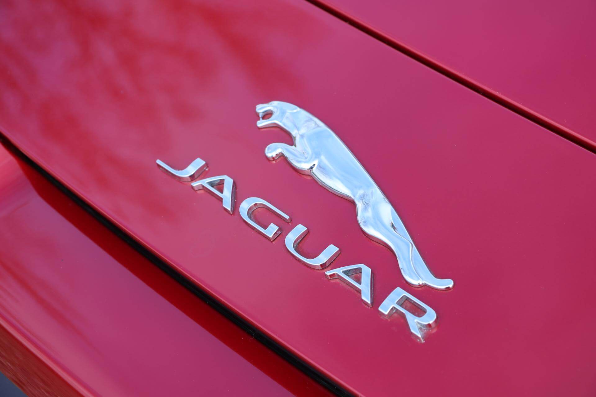 Real Art on Wheels | Jaguar F-Type