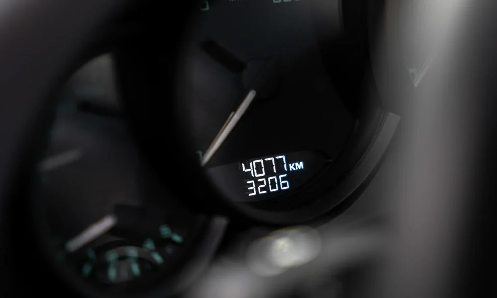 10019