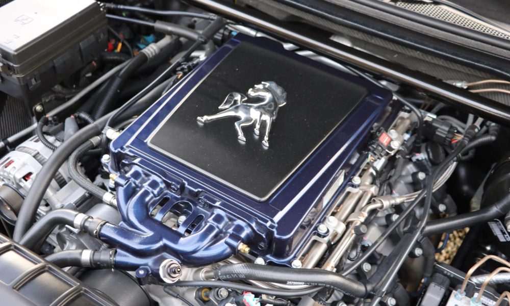 equus-bass-realartonwheels-33